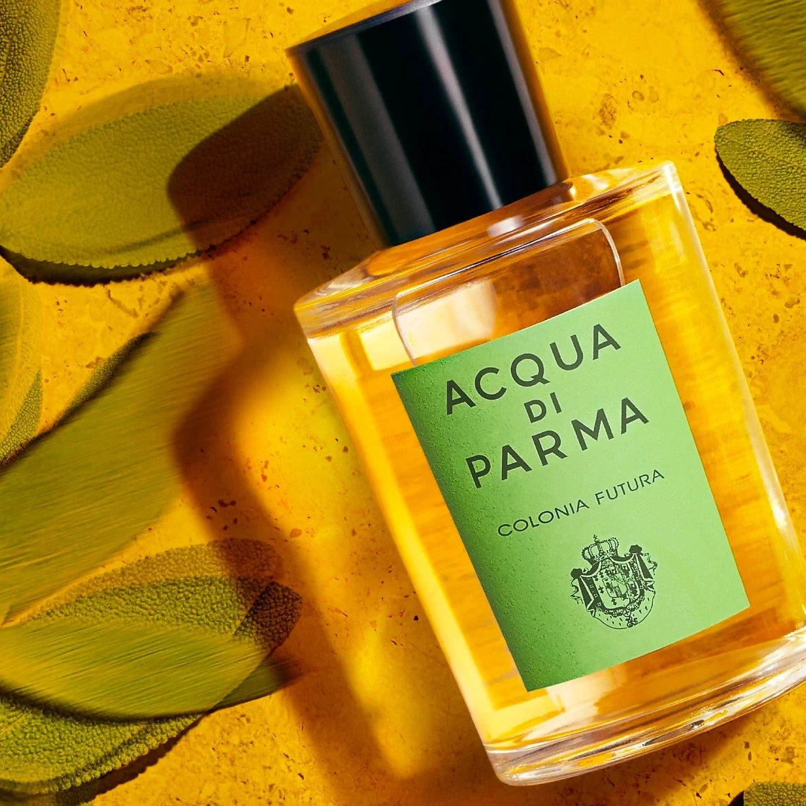 ACQUA DI PARMA COLONIA FUTURA EDC / UNISEX 3.4 OZ