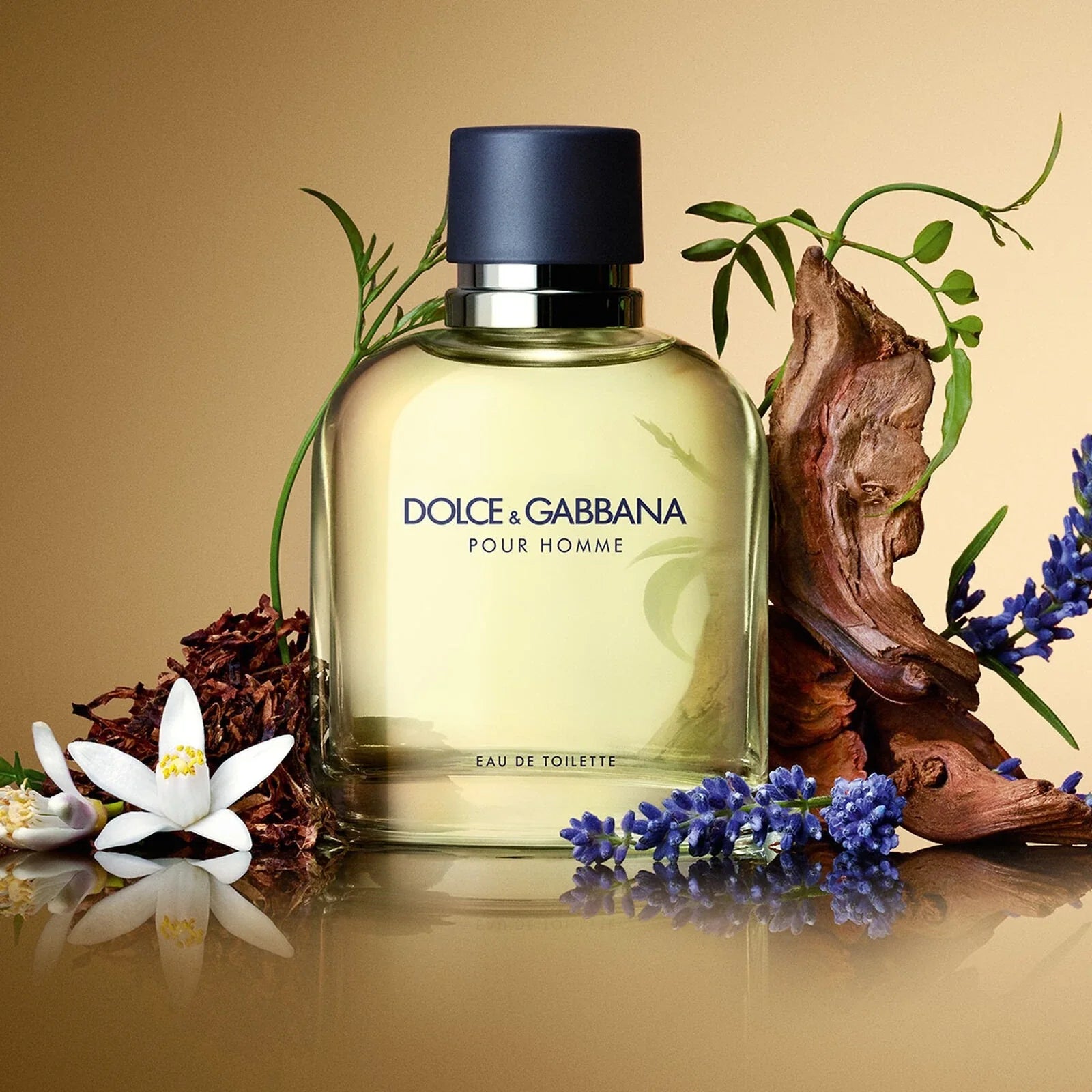 DOLCE & GABBANA POUR HOMME EDT /H 4.2 OZ